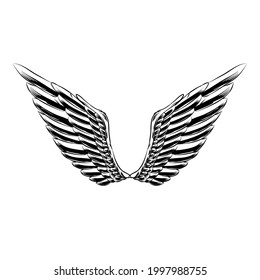 Isolated wings illustration for logo branding emblem tattoo badge. Church angel vintage drawing element