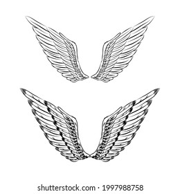 Isolated wings illustration for logo branding emblem tattoo badge. Church angel vintage drawing element