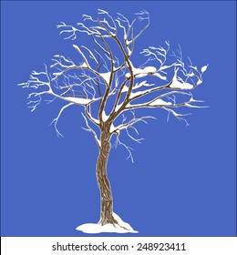 Isolated winter tree with snow illustration with detailed drawing bark for large wide-format printing