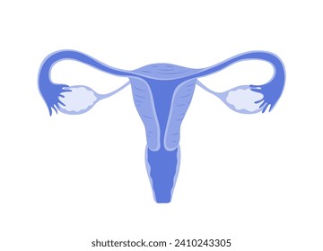 Isolated of a womb in flat vector illustration.