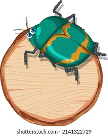 Isolated wooden banner with beetle illustration