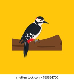 Isolated woodpecker on the tree vector illustration