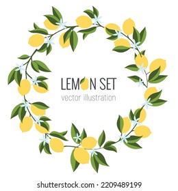 Isolated wreath frame of hand drawn lemon branch. Floral print. Sketch Exotic tropical citrus fresh fruit, lemons with leaves and flowers. Vector cartoon minimalistic style illustration. Pattern