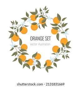 Isolated wreath of hand drawn Oranges branch. Floral print. Sketch Exotic tropical citrus fresh fruit, tangerine with leaves and flowers. Vector cartoon minimalistic style illustration. Pattern frame
