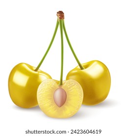 Isolated yellow cherries on one stem on white background. Three sweet cherry fruits on one stem, one cut in half with a pit