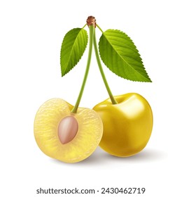 Vereinzelte gelbe Kirschen auf einem Stiel mit grünem Blatt auf weißem Hintergrund. Zwei süße Kirschfrüchte auf einem Stiel, eine halbiert mit einer Grube