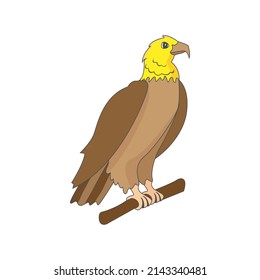 Isolated yellow eagle animated animals jungle vector illustration