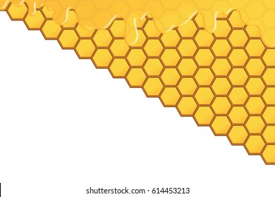 isolated yellow gold beehives and honey vector with white background.