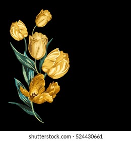 Isolated yellow tulips on a black background.