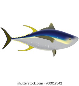 Isolated yellowfin tuna