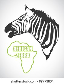 Isolated zebra head - vector illustration