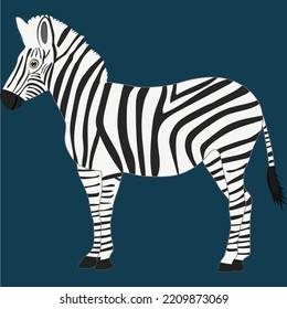 An Isolated Zebra Vector Illustration Graphic
