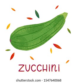Isolated zucchini on a white background.Seasonal farm product.Healthy nutrition.Agricultural fair.Harvest season.Hand drawn vector illustration.