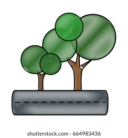 isolates trees on highway