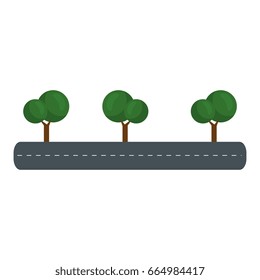 isolates trees on highway