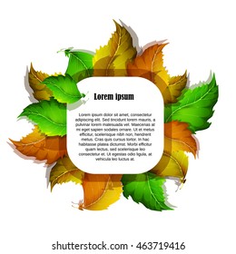 Isolation realistic autumn leaves on a white background with space for your text. It can be used as a postcard. Vector illustration
