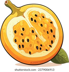 Isoled fruit vector passion fruit in white background