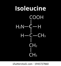 Isoleucine Amino Acid Chemical Molecular Formula Stock Vector (Royalty ...