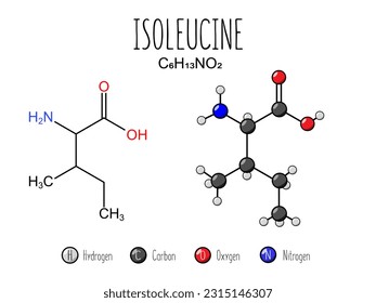 Isoleucine amino acid representation. Skeletal formula and 2d structure illustration, isolated on white background. Vector editable