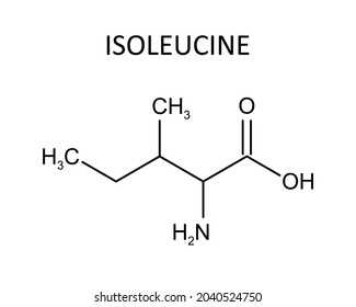 Isoleucine chemical formula. Vector editable