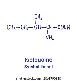 Isoleucine chemical structure. Vector illustration Hand drawn.