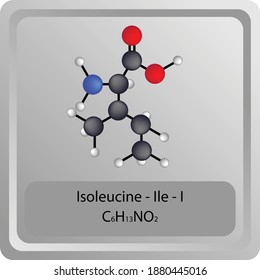 Isoleucine – Ile – I Amino Acid chemical structure. Molecular formula ball and stick model of Isoleucine Molecule. Biochemistry class, Biological and Chemical vector illustration.