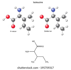 Isoleucine (Ile) - chemical structural formula and models, amino acid, in vacuo, zwitterion, 2D and 3D illustration, balls and sticks, isolated on white background, vector, eps8