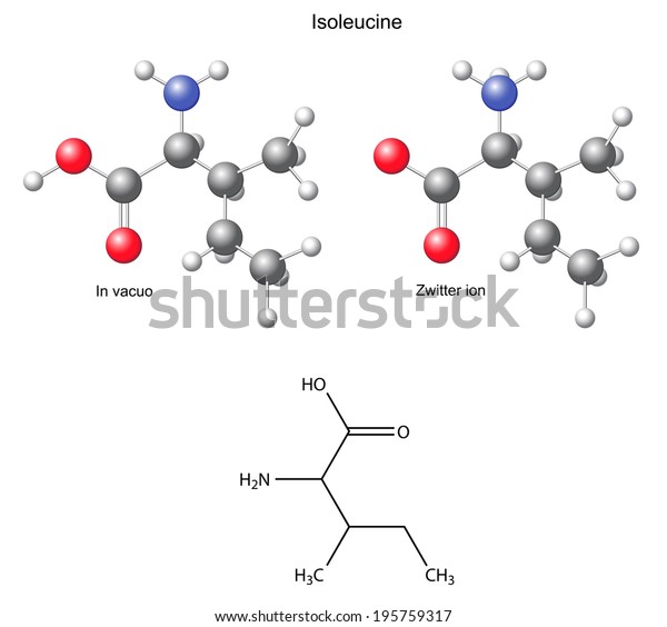 Isoleucine Ile Chemical Structural Formula Models Stock Vector Royalty Free 195759317