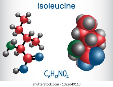 Isoleucine (L- isoleucine , Ile, I) amino acid molecule. It is used in the biosynthesis of proteins. Molecule model. Vector illustration 