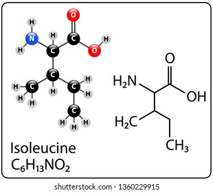 Isoleucine Molecule Structure