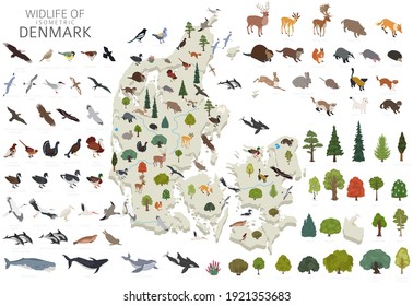 Isomatric 3d design of Denmark wildlife. Animals, birds and plants constructor elements isolated on white set. Build your own geography infographics collection. Vector illustration