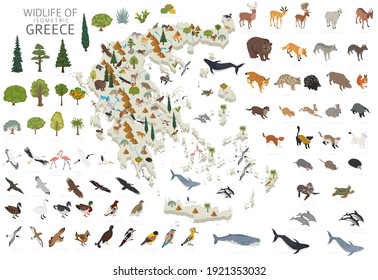 Isomatric 3d design of Greece wildlife. Animals, birds and plants constructor elements isolated on white set. Build your own geography infographics collection. Vector illustration