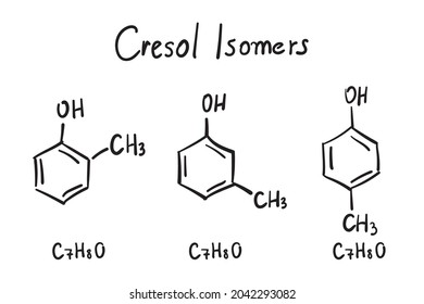 Isomers of cresol molecule formula. Hand drawn imitation of cresols structural model, hydroxytoluene chemistry skeletal formula, sketchy vector symbol