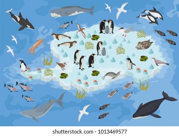 Isometric 3d Antarctica flora and fauna map elements. Animals, birds and sea life. Build your own geography infographics collection. Vector illustration