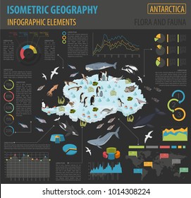 Isometric 3d Antarctica flora and fauna map elements. Animals, birds and sea life. Build your own geography infographics collection. Vector illustration