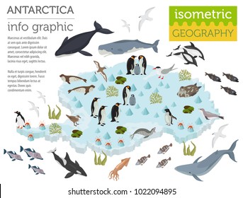 Isometric 3d Antarctica flora and fauna map elements. Animals, birds and sea life. Build your own geography infographics collection. Vector illustration