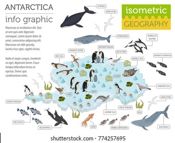 Isometric 3d Antarctica flora and fauna map elements. Animals, birds and sea life. Build your own geography infographics collection. Vector illustration