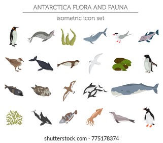 Isometric 3d Antarctica flora and fauna elements. Animals, birds and sea life. Build your own geography infographics collection. Vector illustration