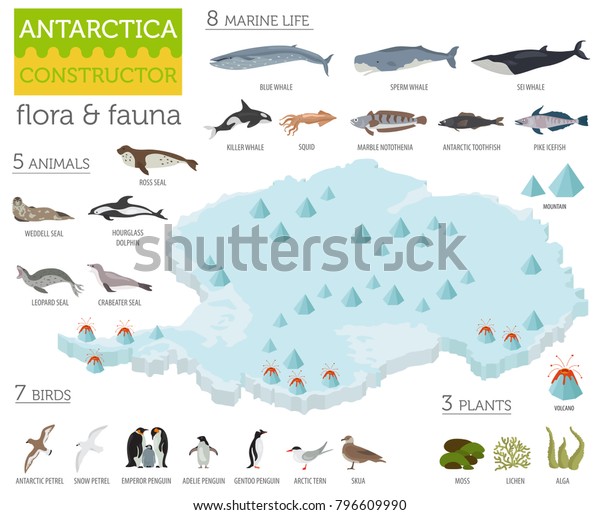 アイソメ3d南極植物相図エレメント 動物 鳥 海の生活 独自の地理情報グラフィックコレクションを作成します ベクターイラスト のベクター画像素材 ロイヤリティフリー