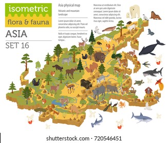 Isometric 3d Asian flora and fauna map constructor elements. Animals, birds and sea life isolated on white big set. Build your own geography infographics collection. Vector illustration