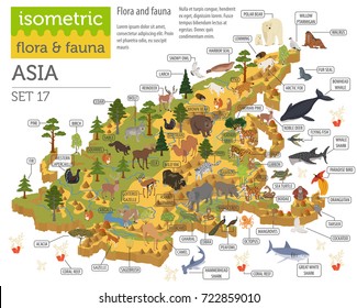 Isometric 3d Asian flora and fauna map constructor elements. Animals, birds and sea life isolated on white big set. Build your own geography infographics collection. Vector illustration