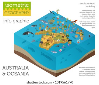 Isometric 3d Australia and Oceania flora and fauna map elements. Animals, birds and sea life. Build your own geography infographics collection. Vector illustration