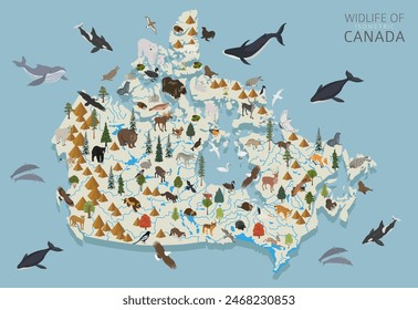 Isometric 3d design of Canada wildlife. Animals, birds and plants constructor elements isolated on white set. Build your own geography infographics collection. Vector illustration