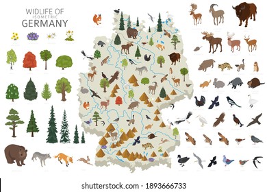 Isometrisches 3D-Design der deutschen Wildtiere. Konstruktorelemente von Tieren, Vögeln und Pflanzen einzeln auf weißem Satz. Erstellen Sie Ihre eigene geographische Infografik-Kollektion. Vektorgrafik