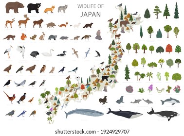 Isometric 3d design of Japan wildlife. Animals, birds and plants constructor elements isolated on white set. Build your own geography infographics collection. Vector illustration