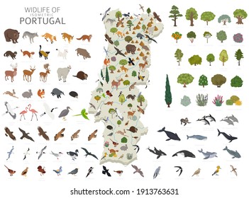 Isometric 3d design of Portugal wildlife. Animals, birds and plants constructor elements isolated on white set. Build your own geography infographics collection. Vector illustration