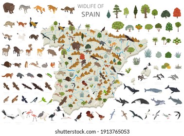 Diseño isométrico 3d de la fauna española. Animales, aves y elementos constructores de plantas aislados en conjunto blanco. Construya su propia colección de infografías geográficas. Ilustración del vector