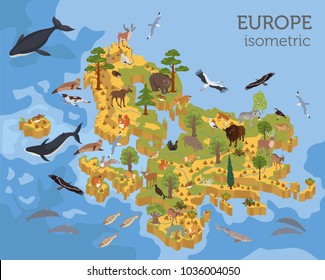 Isometric 3d European flora and fauna map constructor elements. Animals, birds and sea life isolated on white big set. Build your own geography infographics collection. Vector illustration