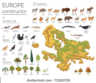 Isometric 3d European flora and fauna map constructor elements. Animals, birds and sea life isolated on white big set. Build your own geography infographics collection. Vector illustration