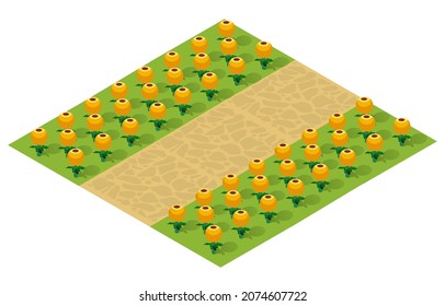 Isometric 3d illustration park trees forest nature elements white background for landscape design. Vector isolated. Icon for a city map, games, and your town